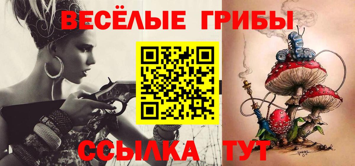 Псилоцибиновые грибы Psilocybe  Вход с VPN  закладки  Котельники  Галлюциногенные грибы прущие грибы 